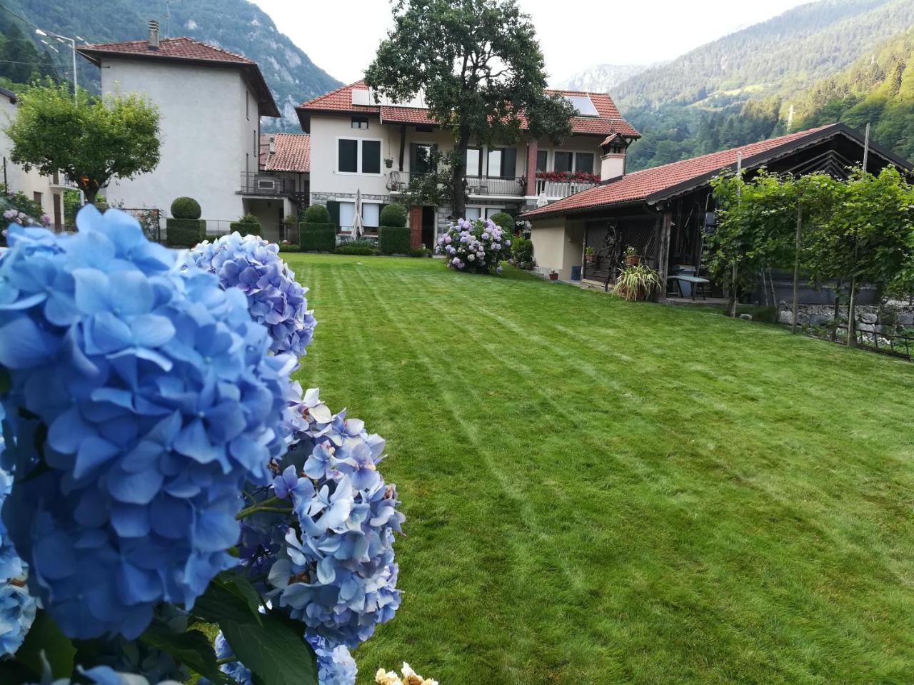 B&B Oltra Lamon Buitenkant foto
